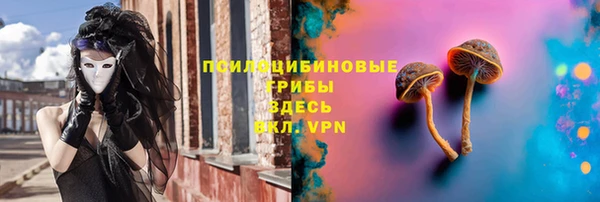 твердый Алексеевка