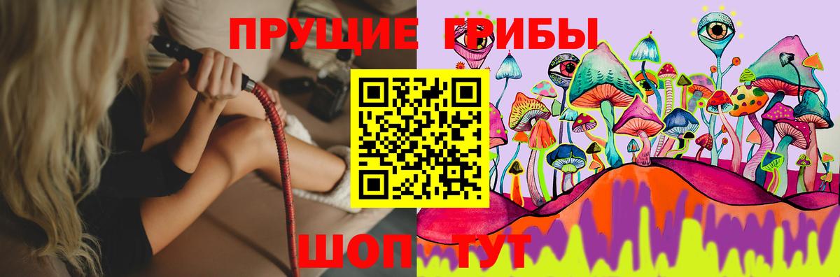 Балашов  Псилоцибиновые грибы Psilocybe  Вход с VPN  Галлюциногенные грибы Psilocybe 